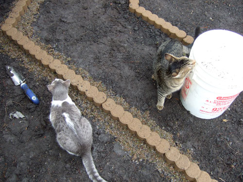 Princess and Jose help me apply the 'moss milkshake'