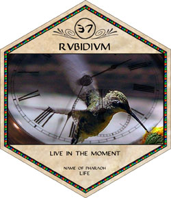 rubidium - live in the moment